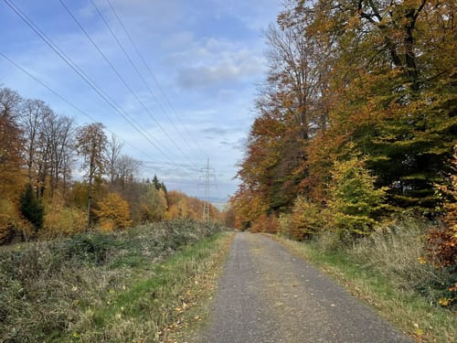 Durch den Deister