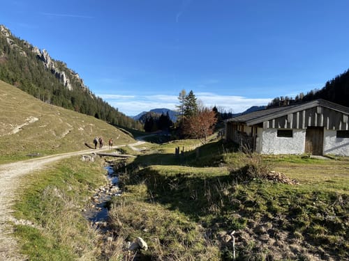 Nesslauer Alm