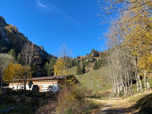 Nesslauer Alm