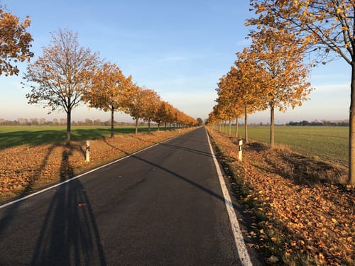 Bad Liebenwerda zur Elbfähre Belgern