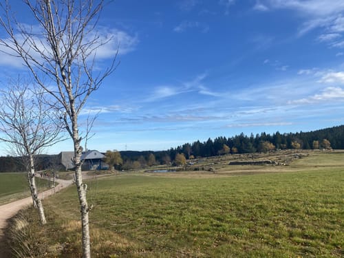 U(h)rwaldpfad Rohrhardsberg (Genießerpfad)