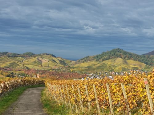 Ortenauer Sagenrundwege: Kutzenstein