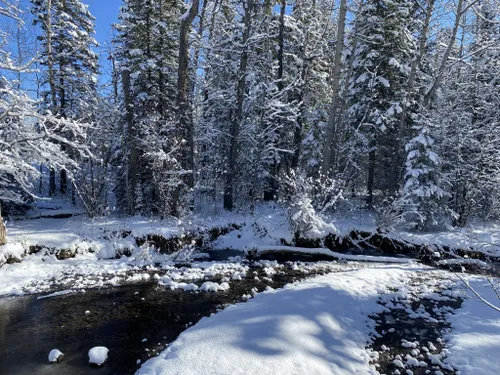 10 Best Kid Friendly Trails in West Bragg Creek Provincial Recreation ...