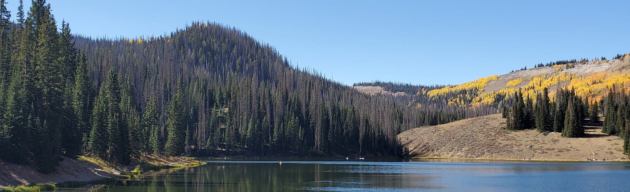 Mill Hollow Lake Loop, Utah 11 Reviews, Map AllTrails