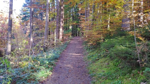 Bad Grönenbach - Sommersberger Hängebrücke - Illerschleife