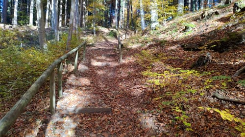 Bad Grönenbach - Sommersberger Hängebrücke - Illerschleife