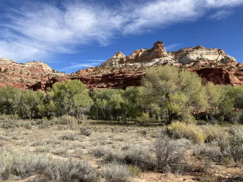 10 Best Kid Friendly Trails in Grand Staircase - Escalante National ...