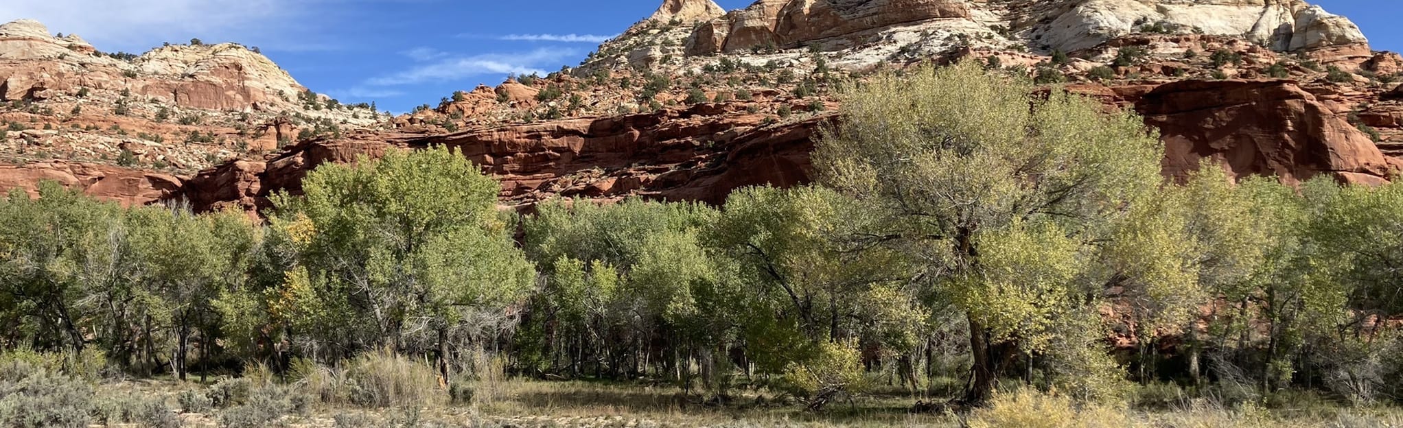 Phipps Arch from Spencer Flats Campground 15 Reviews, Map Utah