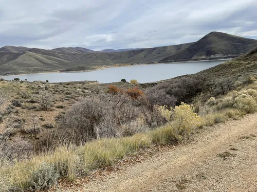 10 Best Hikes and Trails in Wasatch Mountain State Park AllTrails