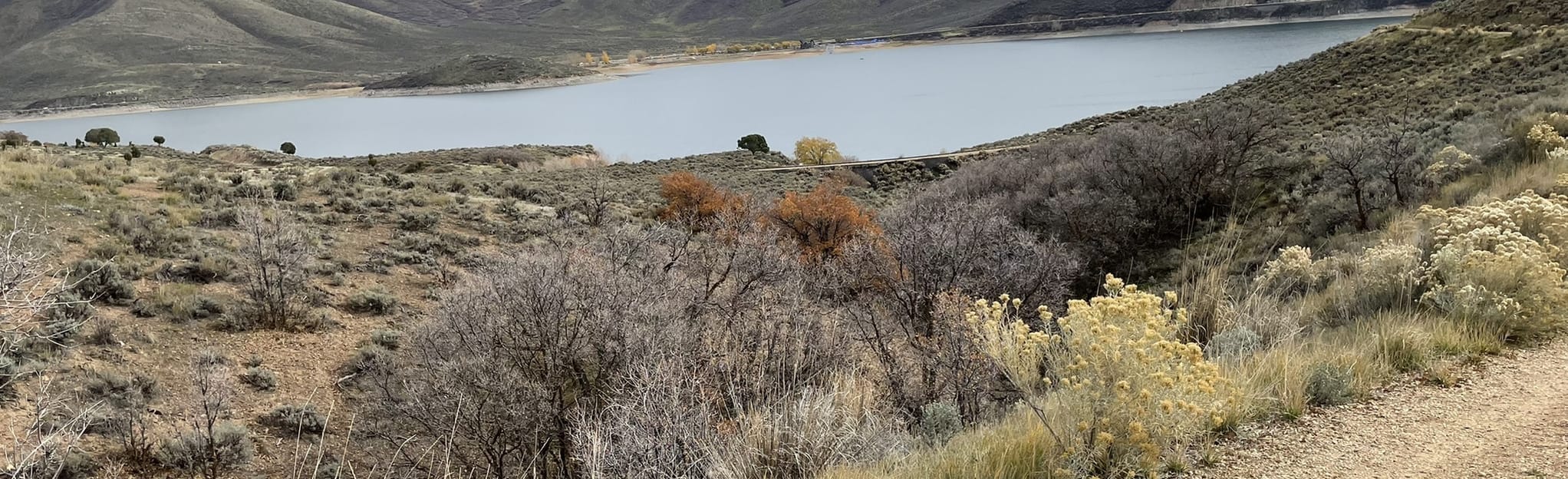 AllTrails Deer Creek Trail via Stringtown Road 114 Reviews, Map Utah