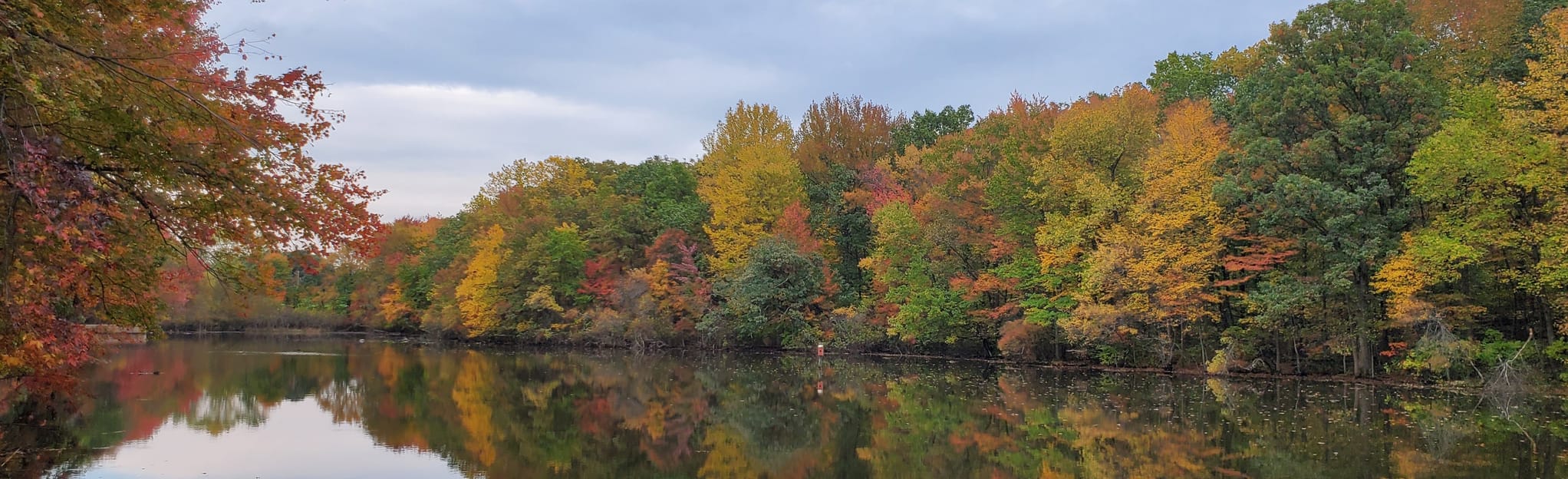 Tenafly Nature Center Yellow and Red loop, New Jersey 44 Reviews, Map