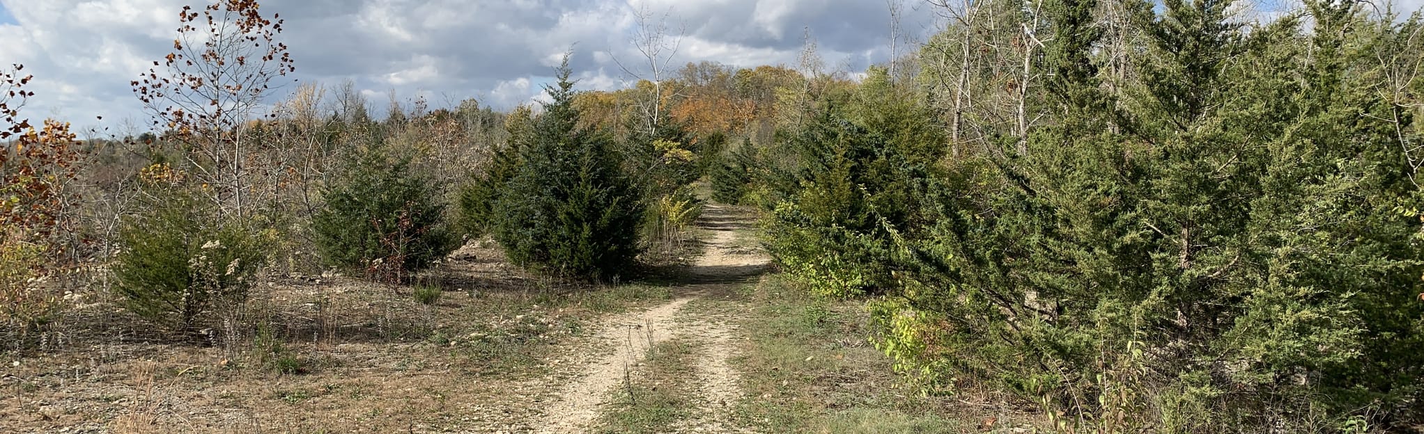Oakes Quarry Loop, Ohio 258 Reviews, Map AllTrails
