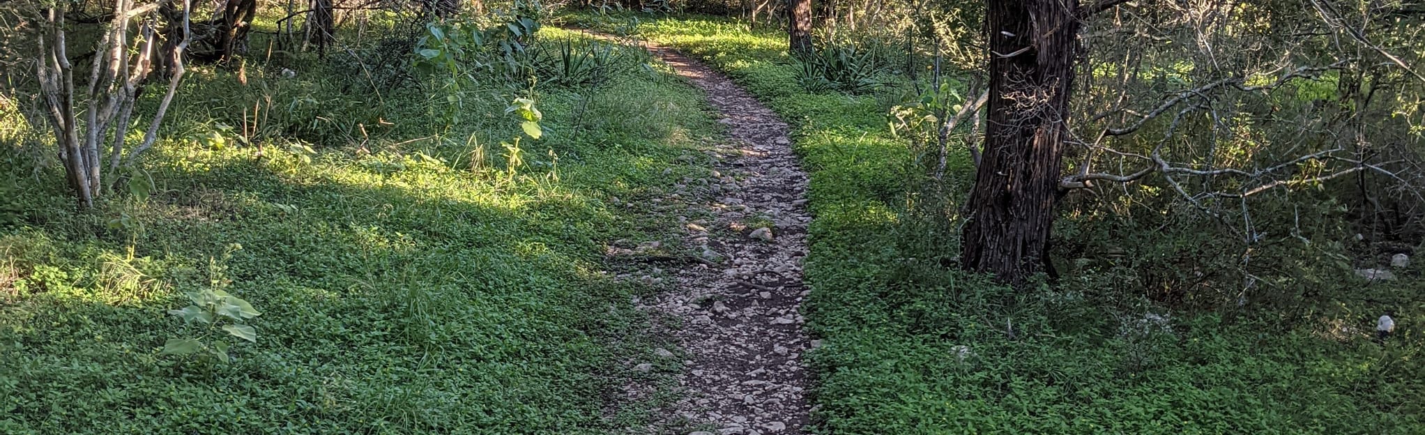 Tonkawa and Blind Salamander Way Loop Texas AllTrails