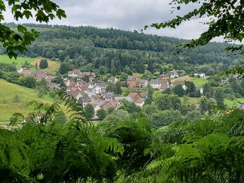 Dassel - Holzberg - Hunnesrücker Burg