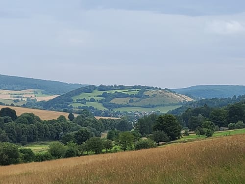Dassel - Holzberg - Hunnesrücker Burg