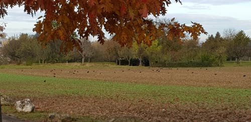 Bissingen an der Teck zum See