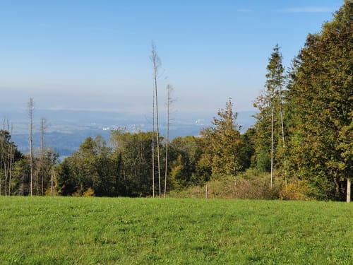Hotzenpfad (Premiumwanderweg)