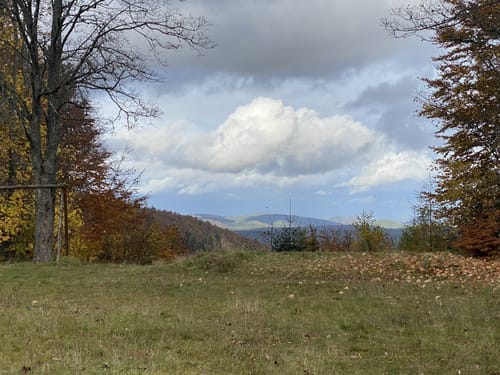 Pfälzerwald Gelber Punkt