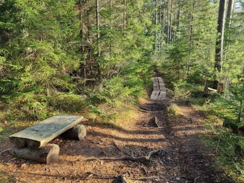 2023 Best Mountain Biking Trails in Kirkkonummi | AllTrails