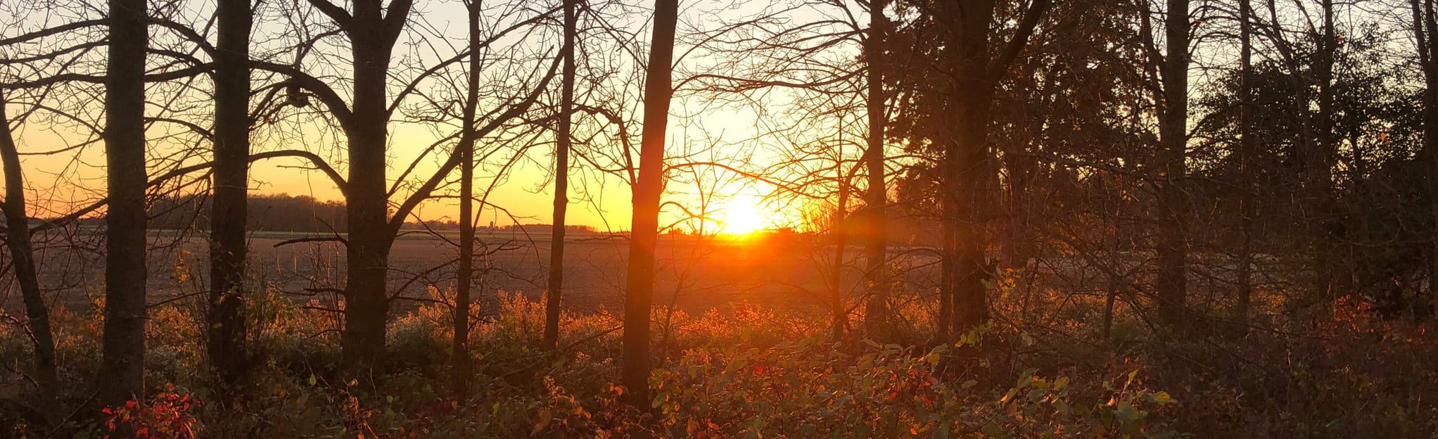 G2G Rail Trail Milverton to Brussels 29 Photos Ontario, Canada Randonnée AllTrails