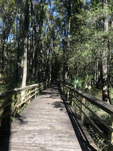 Best Hikes and Trails in Walterboro Wildlife Sanctuary | AllTrails