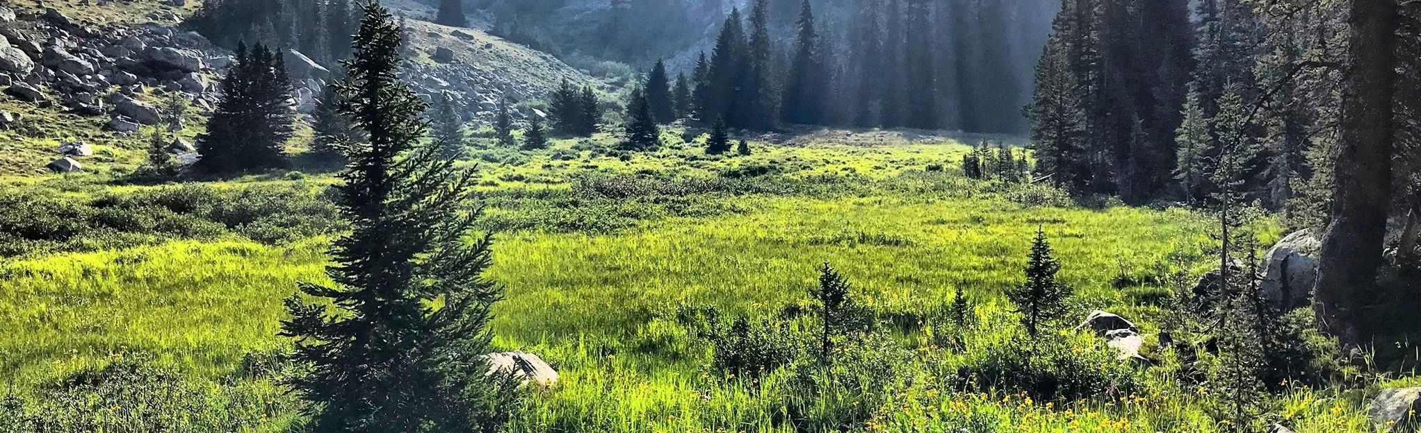 Mirror Lake And Lost Twin Lakes Trail - Wyoming | AllTrails