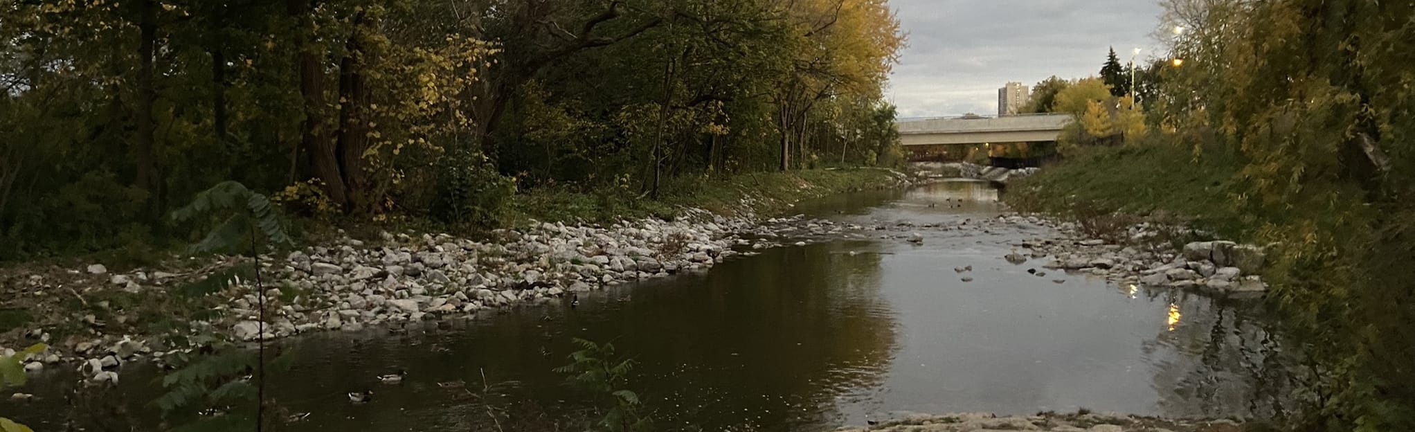 Cooksville Creek Trail, Ontario, Canada 118 Reviews, Map AllTrails