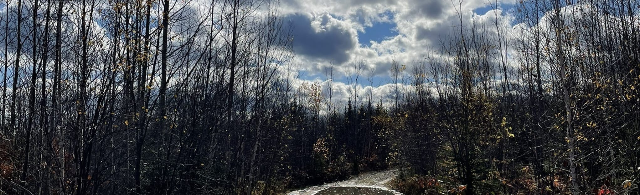 Split Rock Falls Trail: 61 Reviews, Map - New Brunswick, Canada | AllTrails
