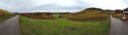 Von Diefenbach zum Aussichtspunkt König