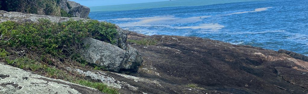 As melhores trilhas em Canhanduba, Santa Catarina (Brasil)