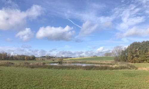 Wanderweg Nr. 116: Dinkelsbühl – Segringen