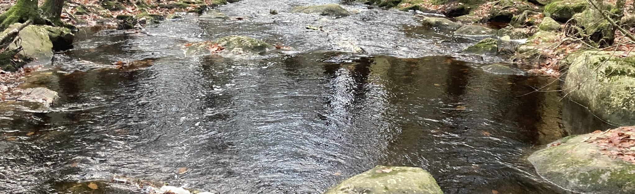 Royalston Falls via Tully Trail, Massachusetts 181 Reviews, Map