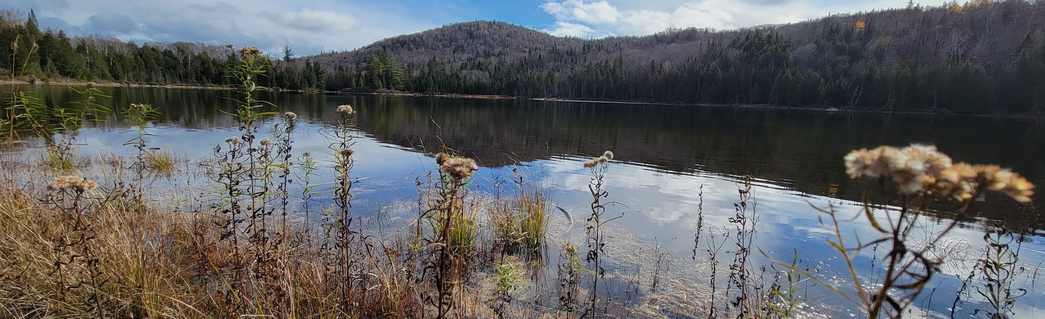 La Loutre, le Corbeau, and Lac Toussaint Loop 199 foto Québec