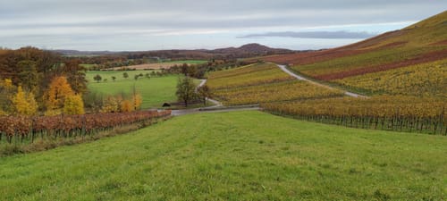 Von Diefenbach zum Aussichtspunkt König