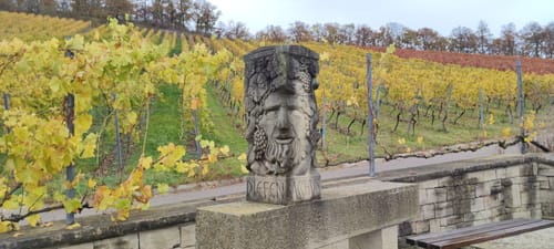 Von Diefenbach zum Aussichtspunkt König
