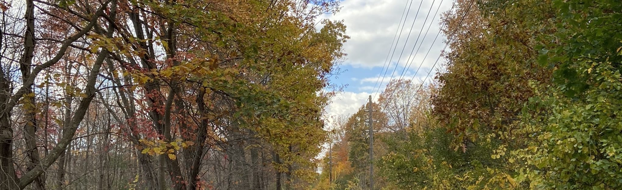 Peabody Independence Greenway Bike Path, Massachusetts 132 Reviews