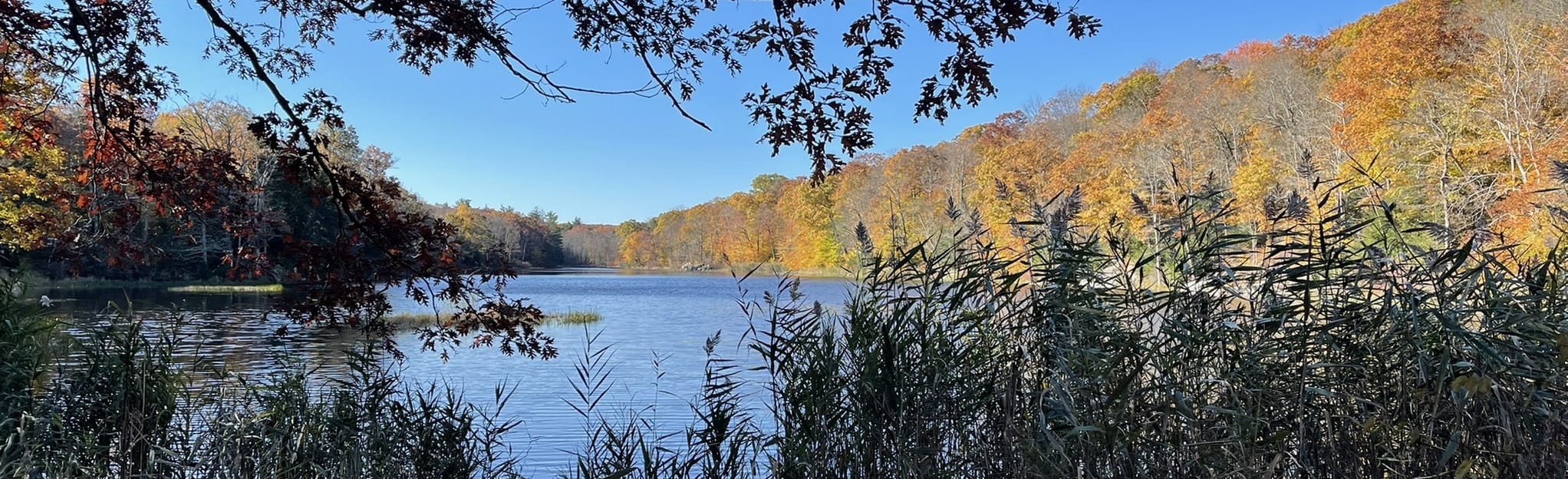 Cherry Ridge Trail, New Jersey 30 Reviews, Map AllTrails