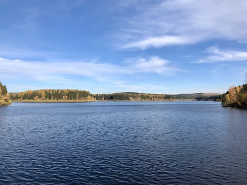 Rund um die Saidenbachtalsperre