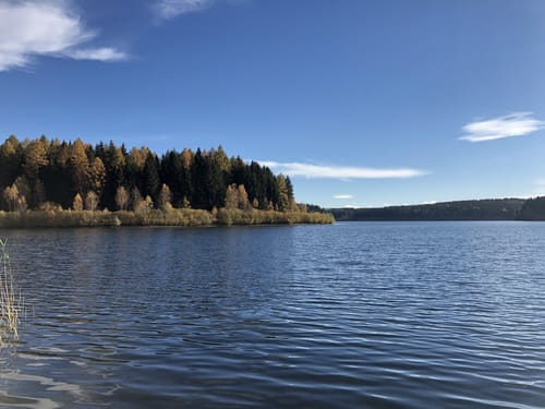 Rund um die Saidenbachtalsperre