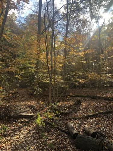 Mohican state park clearance hiking