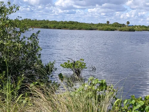 10 Best Trails and Hikes in Merritt Island | AllTrails