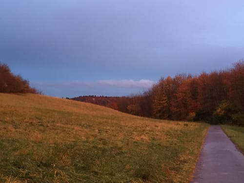 Rundwanderweg Groß-Bieberau Heidekopf 5: Tal-Weg