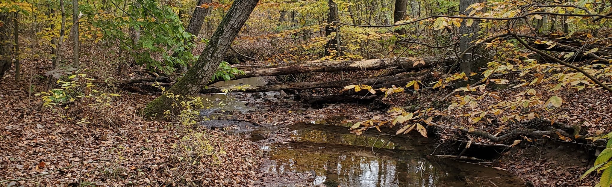 Trout Run, Pennsylvania 59 Reviews, Map AllTrails