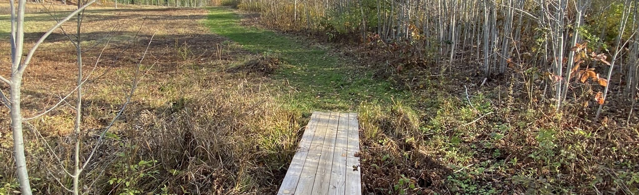 Burley Farms Red Trail Loop 22 Reviews, Map New Hampshire AllTrails