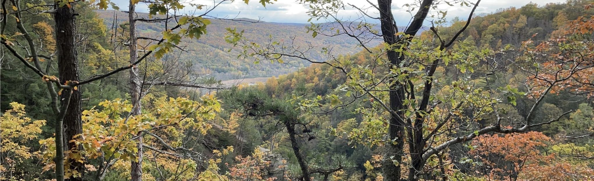 Clark Gully: 82 Reviews, Map - New York | AllTrails