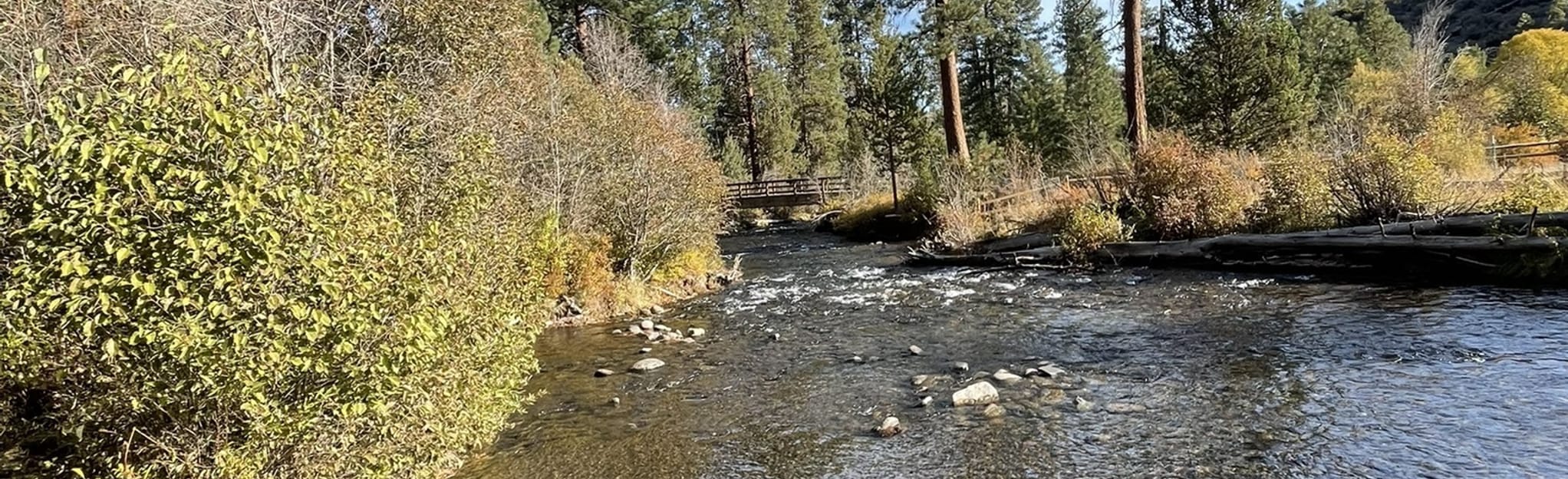 Shevlin Loop Trail 1163 Reviews, Map Oregon AllTrails