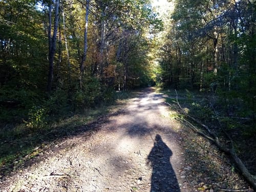 Hoher Berg Rundweg