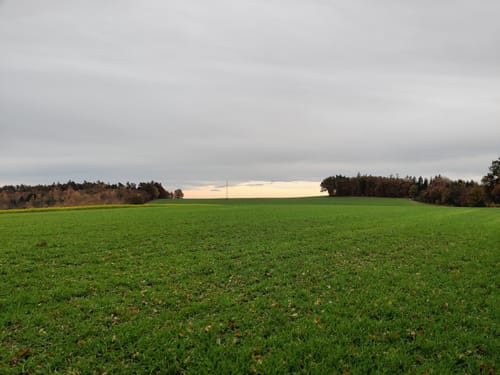Altdorf nach Hebenstreit
