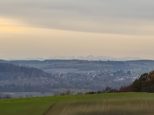Altdorf nach Hebenstreit