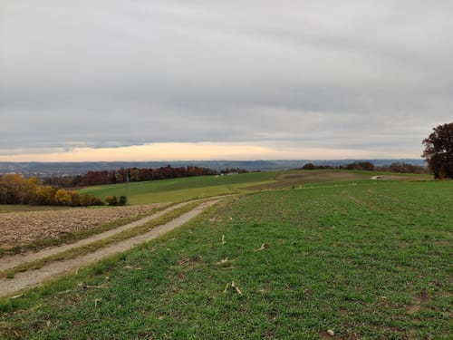 Altdorf nach Hebenstreit